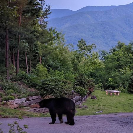Real Log Cabin With Amazing Views, Hot Tub, Sauna, Games 개틀린버그 외부 사진