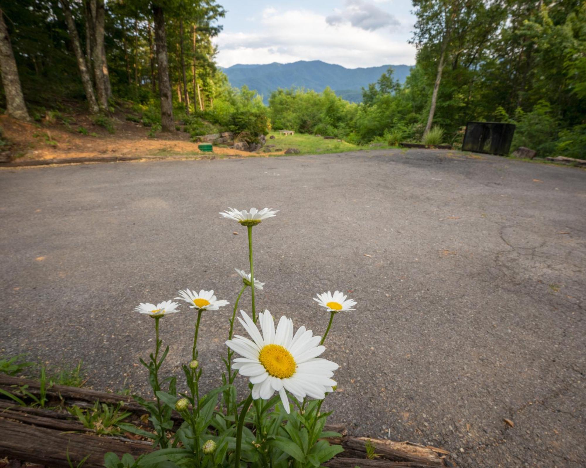 Real Log Cabin With Amazing Views, Hot Tub, Sauna, Games 개틀린버그 외부 사진